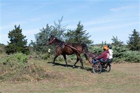 LR-WRF 10182025 Retreat-6554